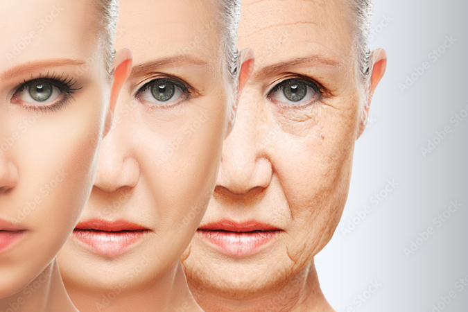 Menopause Aging